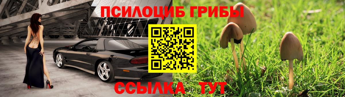Галлюциногенные грибы Cubensis Нижний Тагил