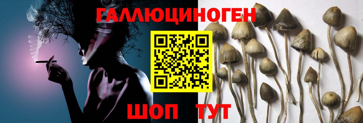 Нижний Тагил  Галлюциногенные грибы ЛСД  Вход с VPN 